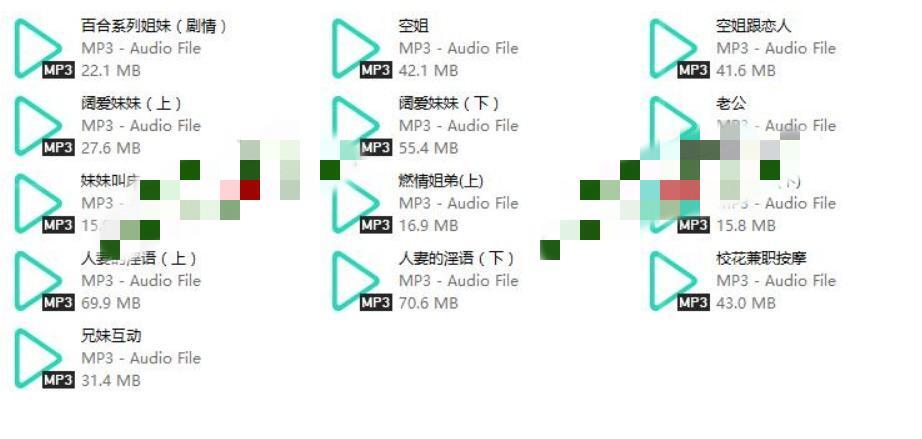 胡啾啾音声13A-439M