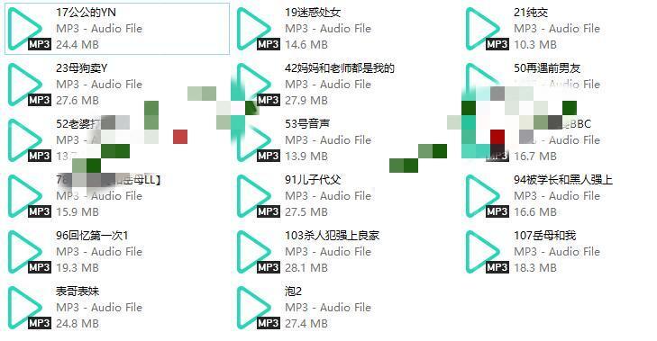 子非鱼音频17部