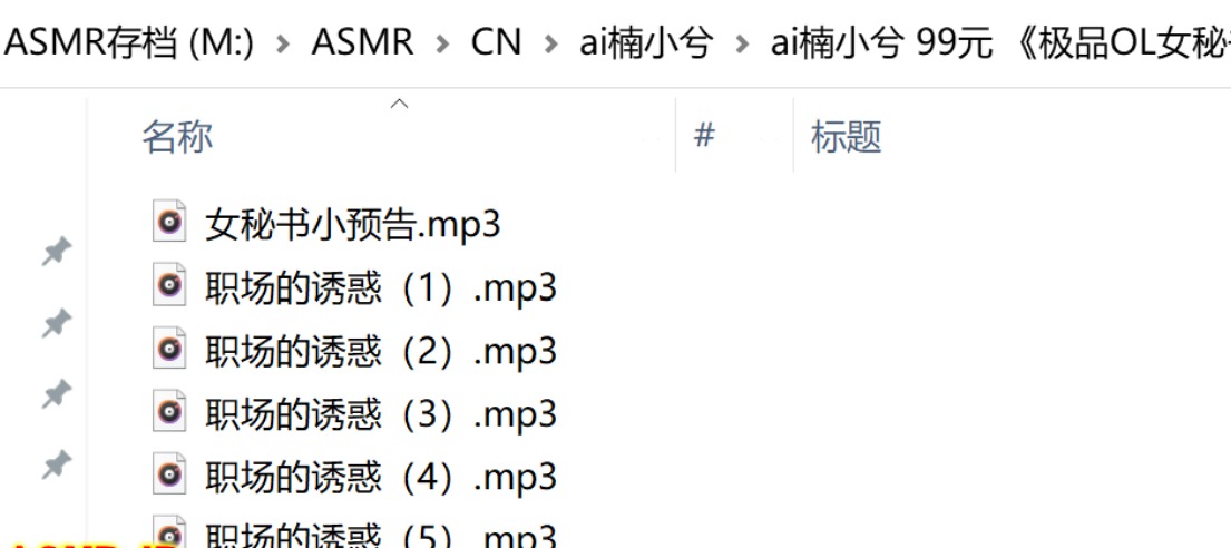 楠兮/ai楠小兮99元绝版顶级音声《极品OL女秘书全集》5部全