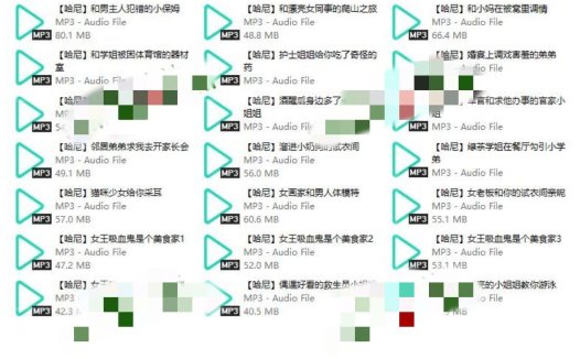 Miss哈尼音声21A-1G