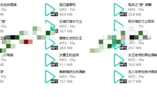 B站戴猫耳的大魔王ASMR音频15部