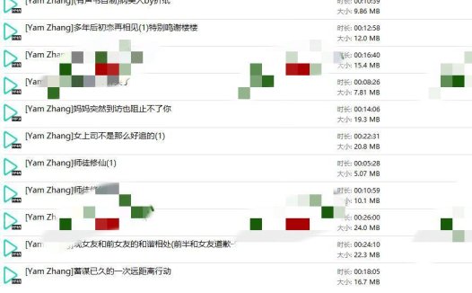 Yam Zhang音声合集11部