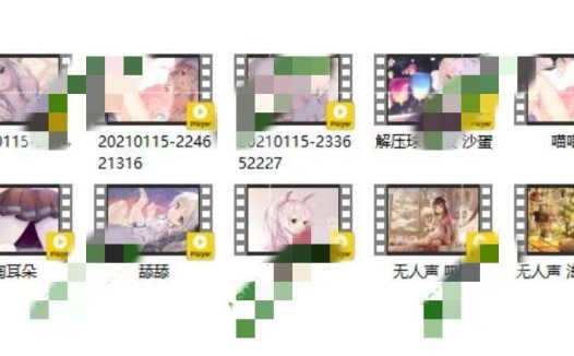 幼玉喵舰长音频13部+22p
