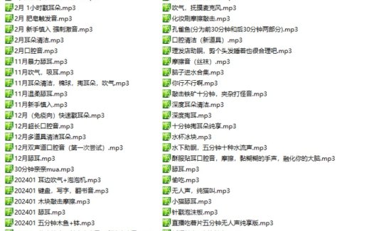 自购b站污喵哒音声50部音频+1部视频2.32G